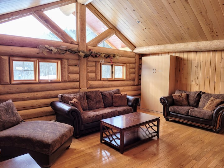 Living room #1 with foldaway single bed