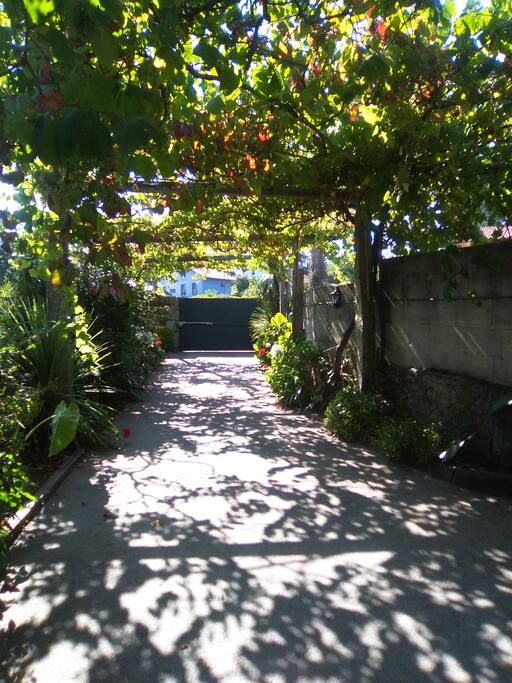 entrada de acceso, al fondo vinohotel