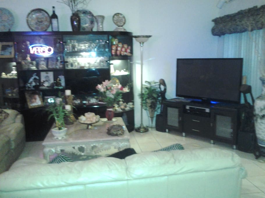 Living Room Area