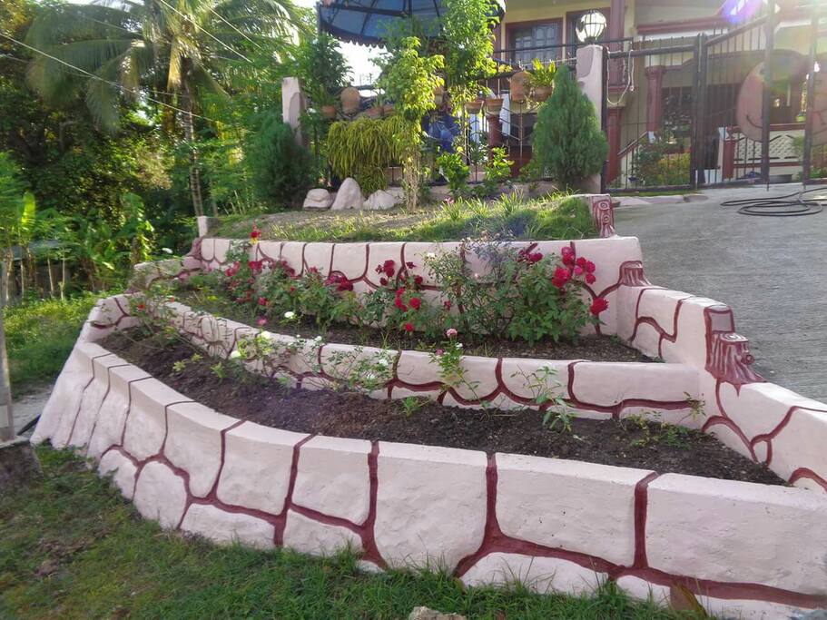 outside garden