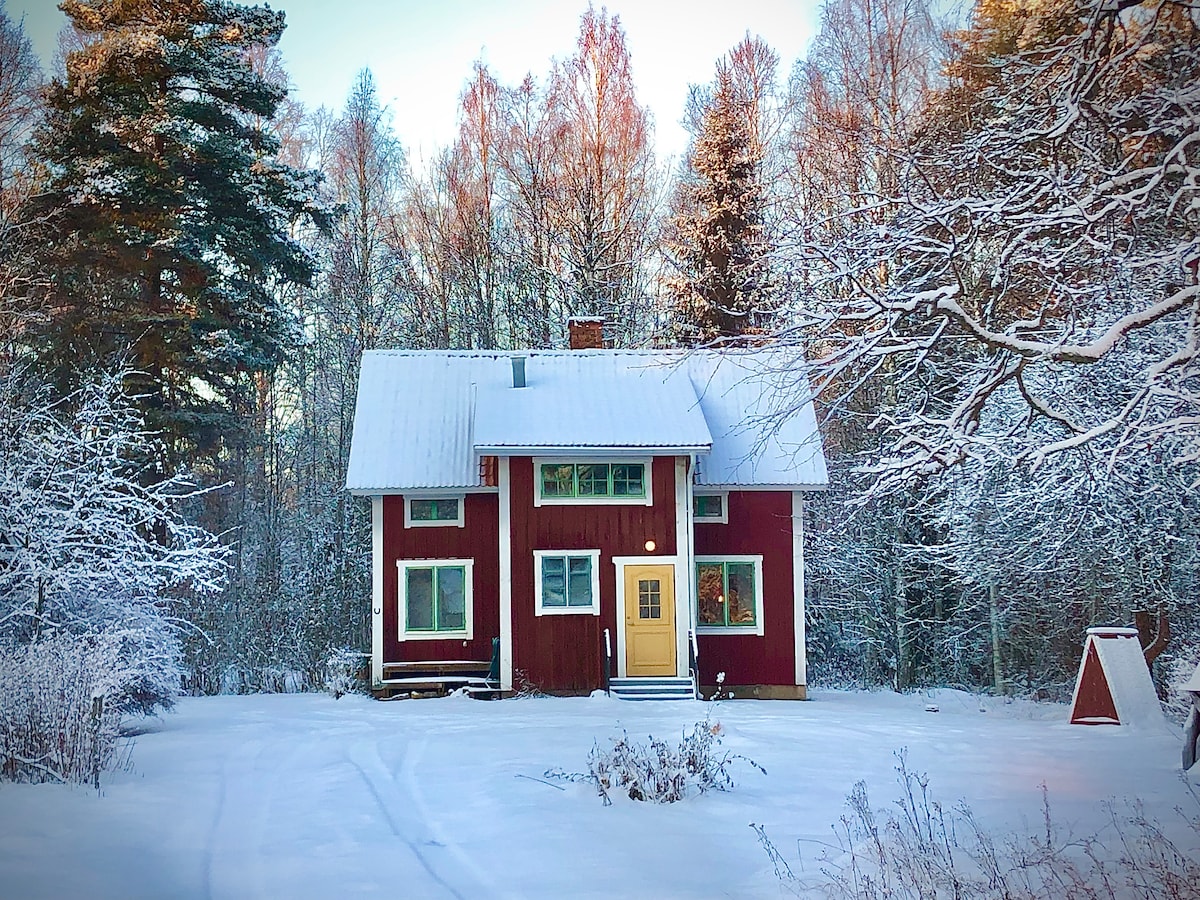 A red wooden house is situated amidst a snowy landscape, surrounded by tall trees. The two-story structure features a yellow front door and multiple windows, allowing natural light to fill the interior. Fresh snow blankets the ground, creating a serene winter atmosphere.
