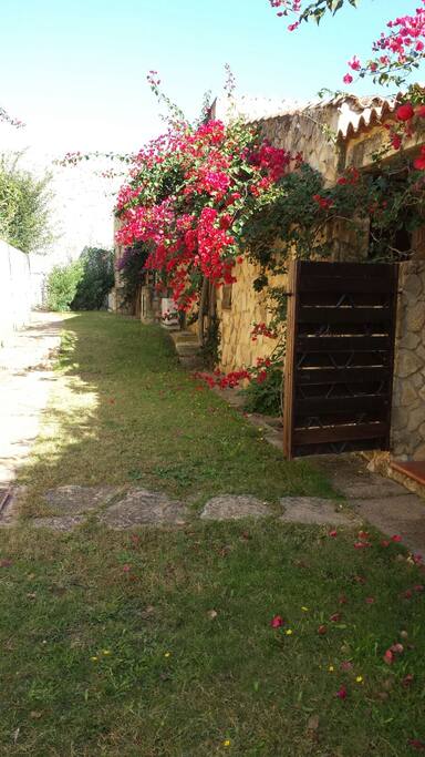 INGRESSO