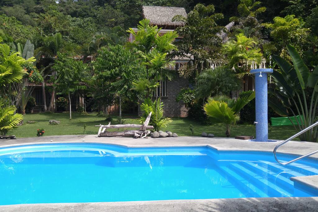 Piscine ,jardin et appartements .