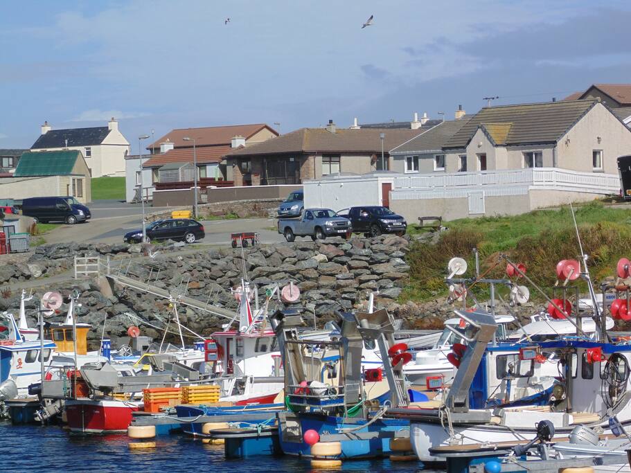 View to Da Milkshop