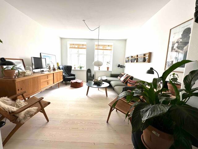 BIG apartment in the HEART of CPH gallery image 4
