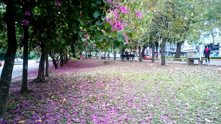 Brightly design room near NTHU, NCTU, Science Park