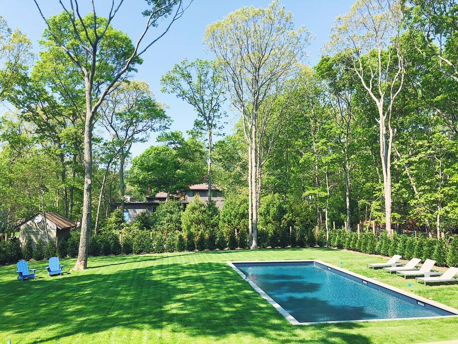 Big backyard with saltwater pool