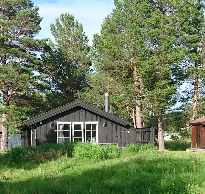 Sollitunet