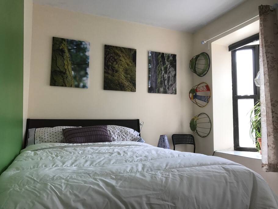 Bedroom 1, an oasis of green life.