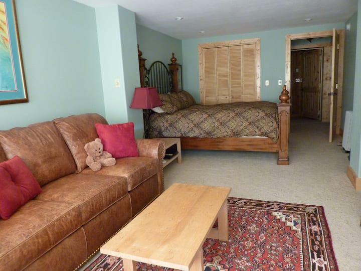 Master Bedroom (Pineberry Room) na kitanda cha malkia na malkia huvuta sofa ya kitanda. Pia ina televisheni na DVD