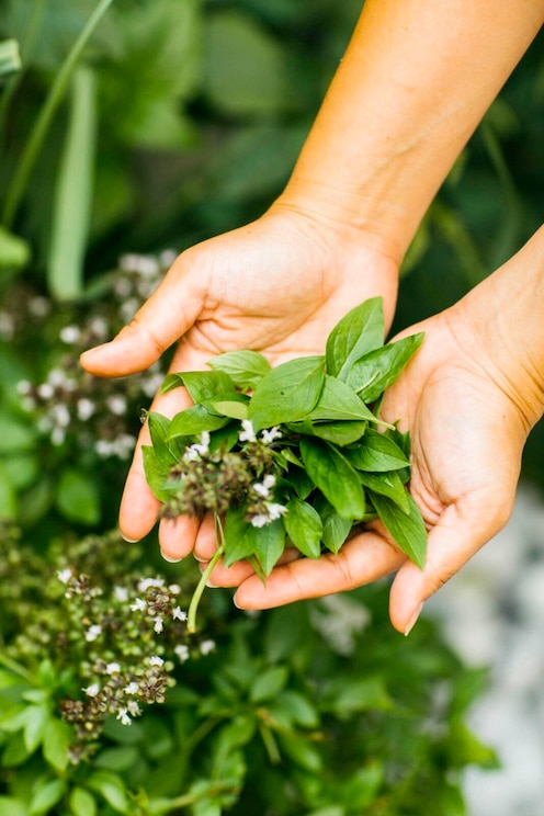 Mostrar imagem fornecida pelo anfitrião em ecrã inteiro