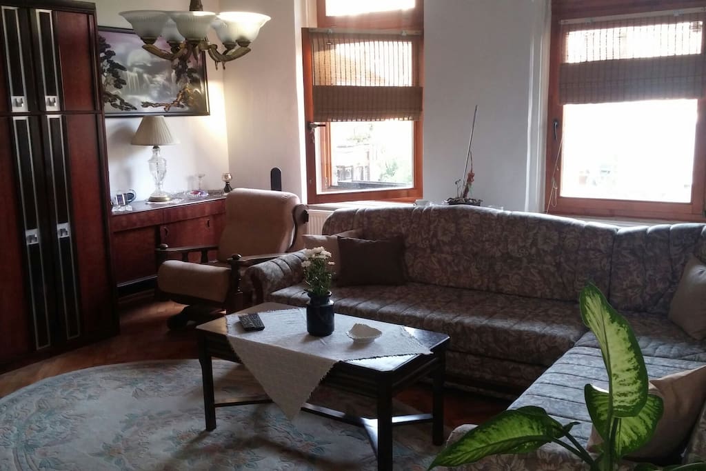 Living Room - Sofa can be unfolded and two persons can sleep with no problems.