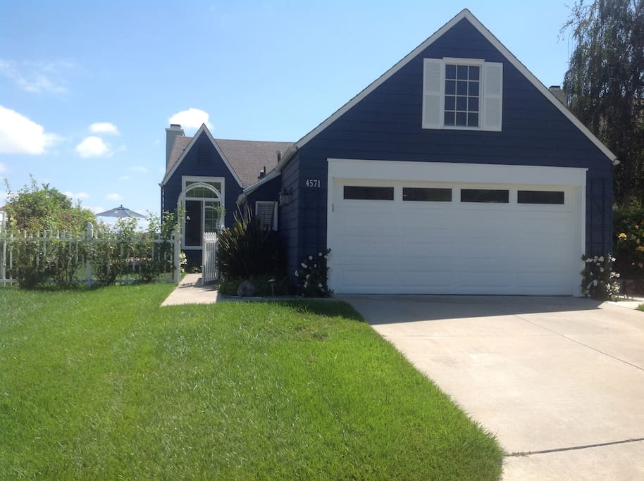 Front of house and front yard