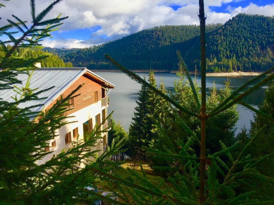 The chalet from the top entrance!
