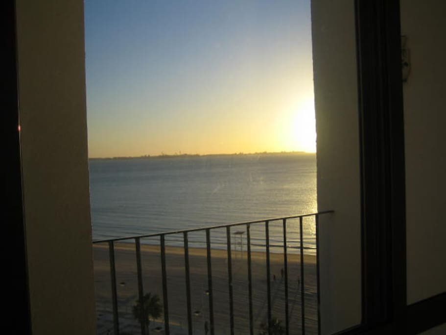 Terraza vistas