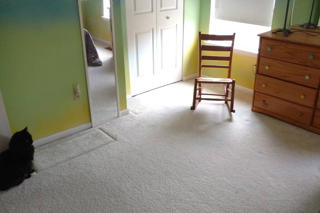 Blinds come down to block out most light, but the room is bright and sunny in the morning.