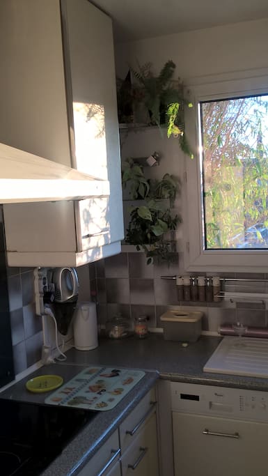 Une cuisine lumineuse