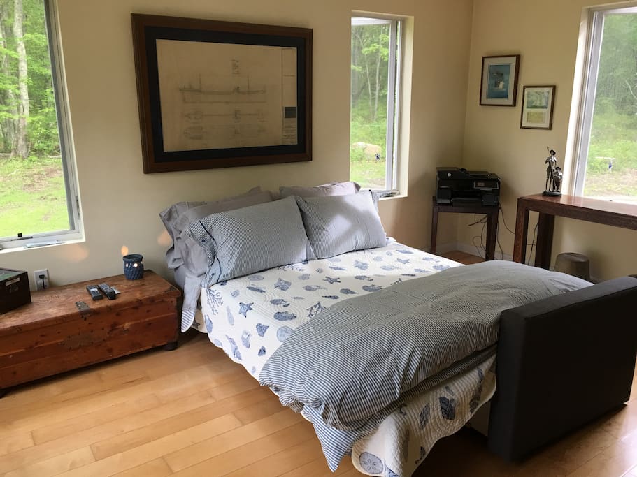 Sleeper sofa in first-floor bedroom.