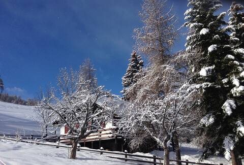 Typical chalet by the slopes SAUZE_Southern Alps