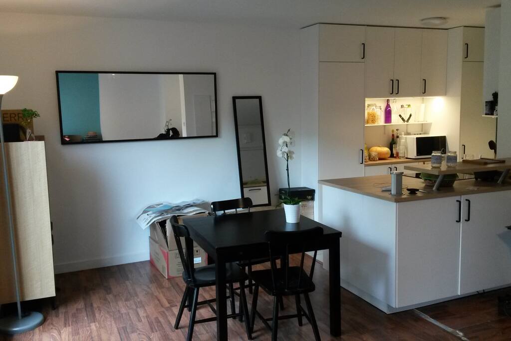 Cuisine ouverte sur le salon