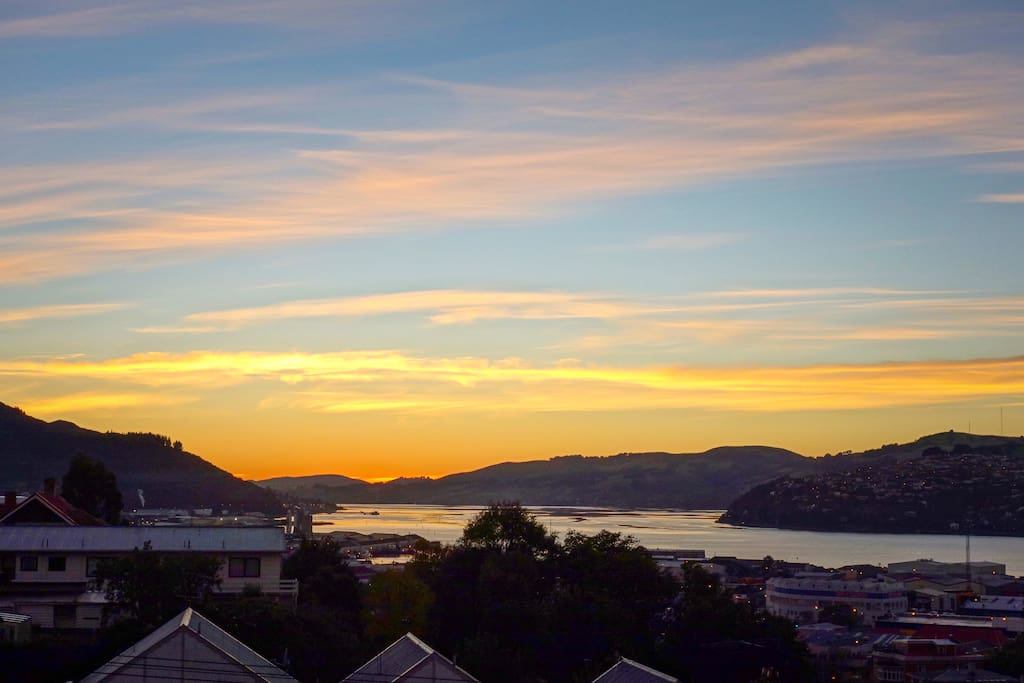 One of the best views in Dunedin