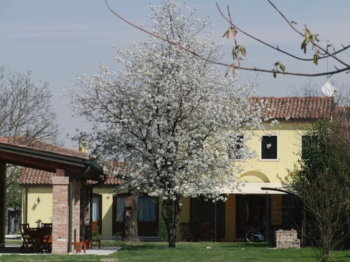 Brenta details - Apt Chiara near Venice