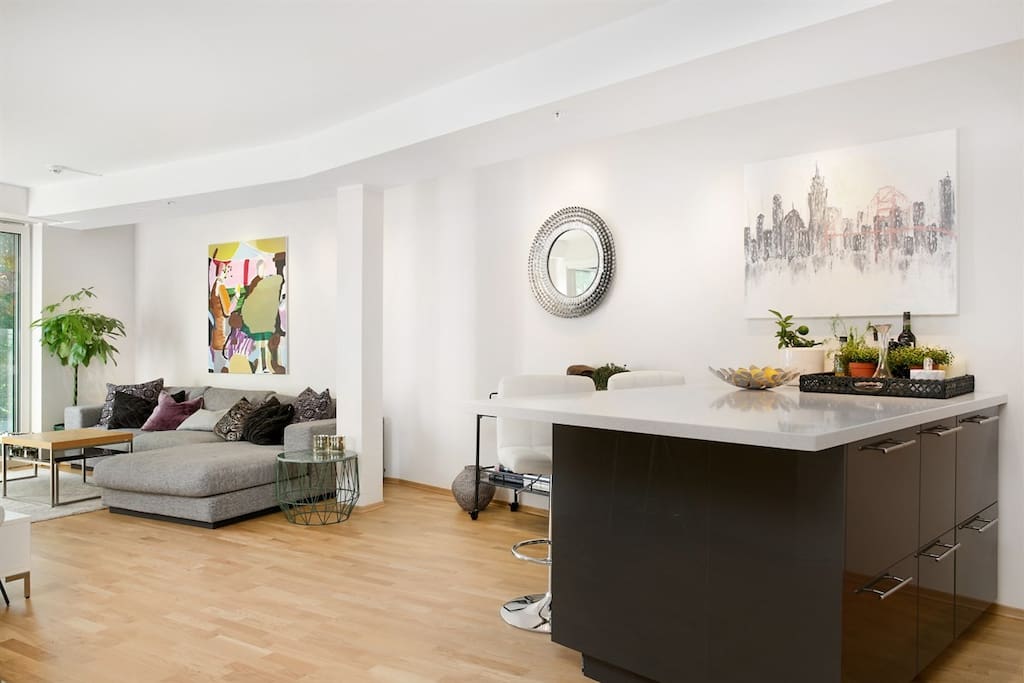 Kitchen area / living room