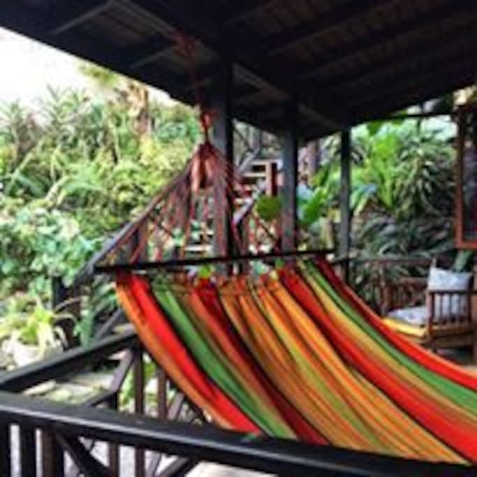 Hammock on verandah
