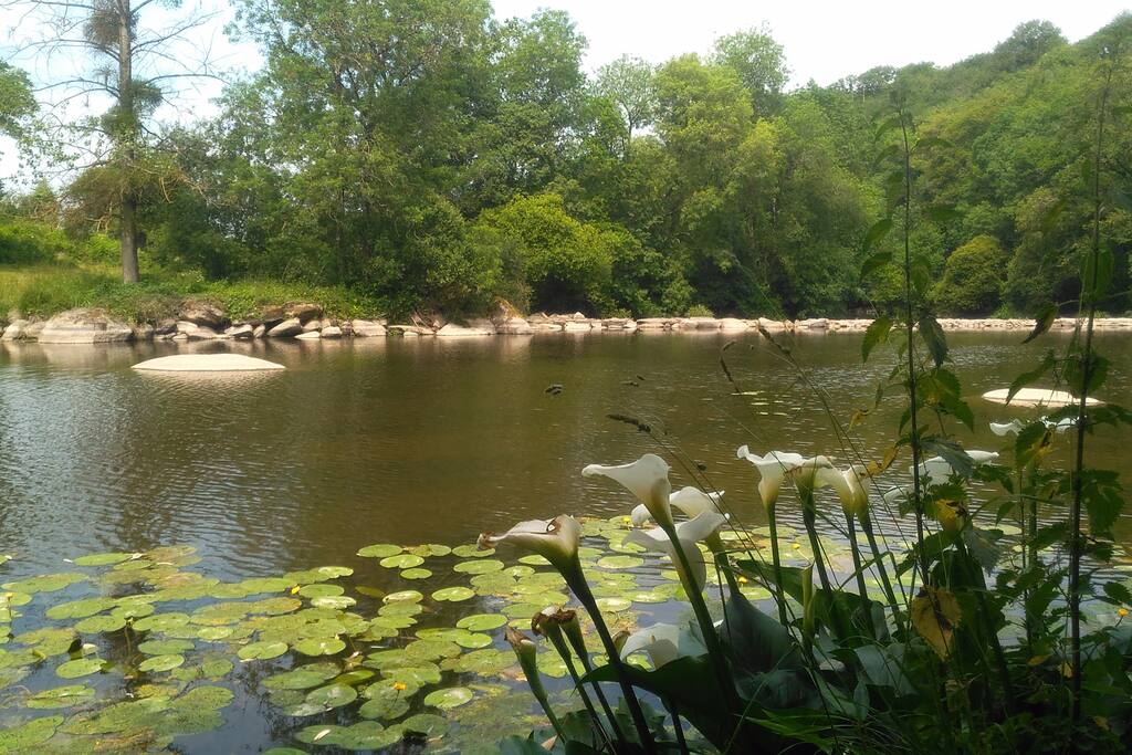 La Sèvre...