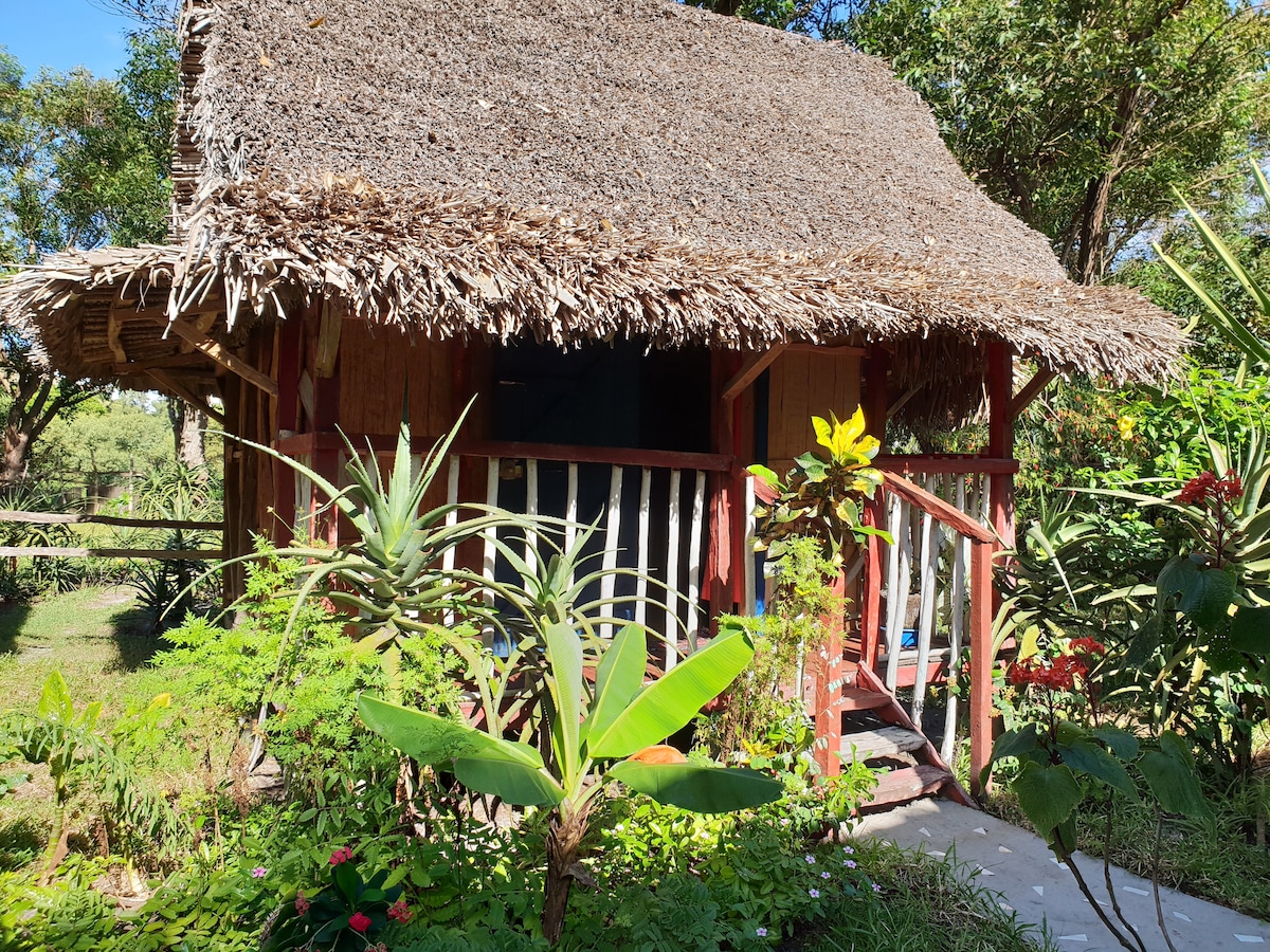 A rustic bungalow is enveloped by lush greenery, featuring a thatched roof and a vibrant garden. The entrance is framed by plants, and a welcoming porch invites relaxation. The natural setting creates a peaceful atmosphere, highlighting the connection with nature.
