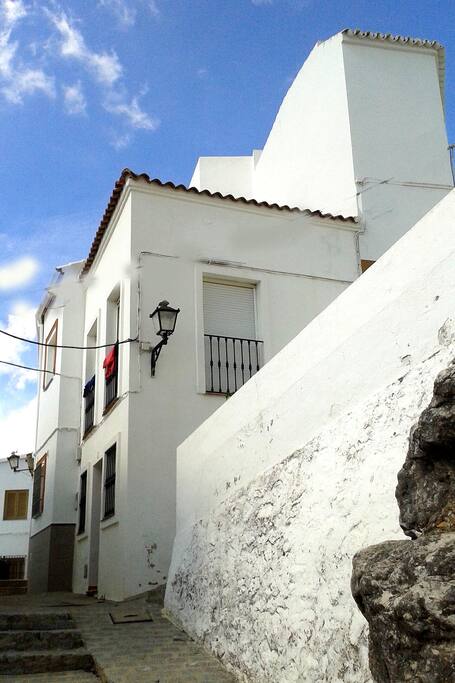 Calle Olivo