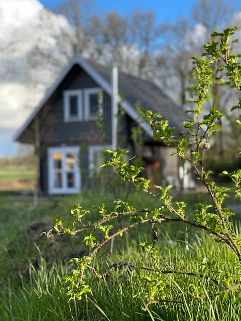 Haus am See @mollbue