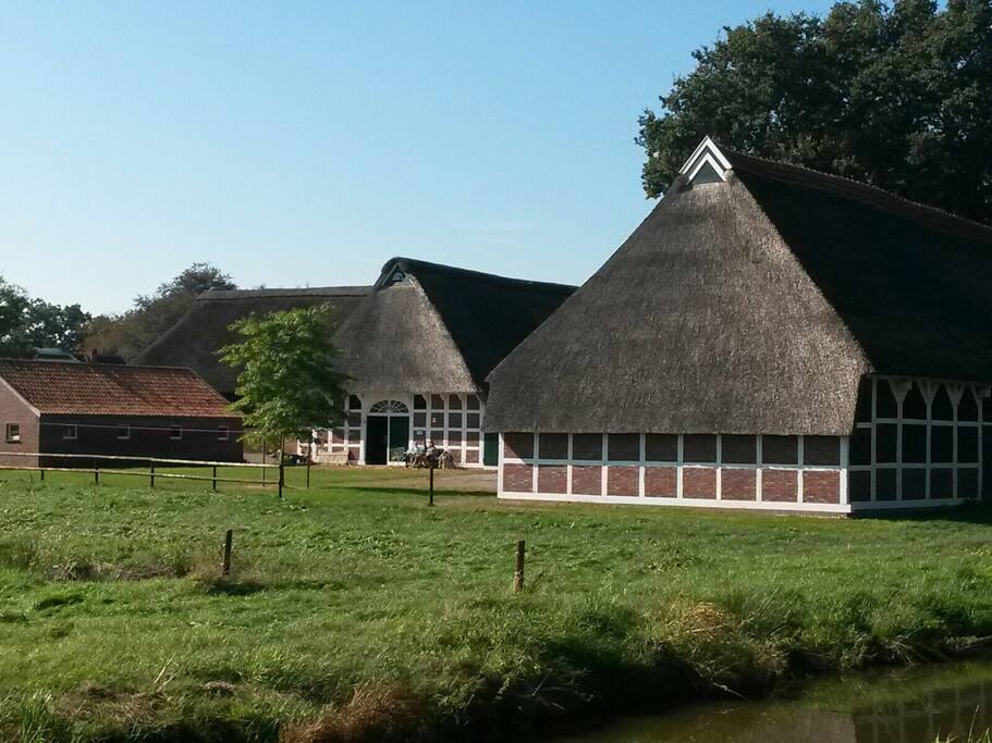 Außenanlage mit Stallungen und Koppel
