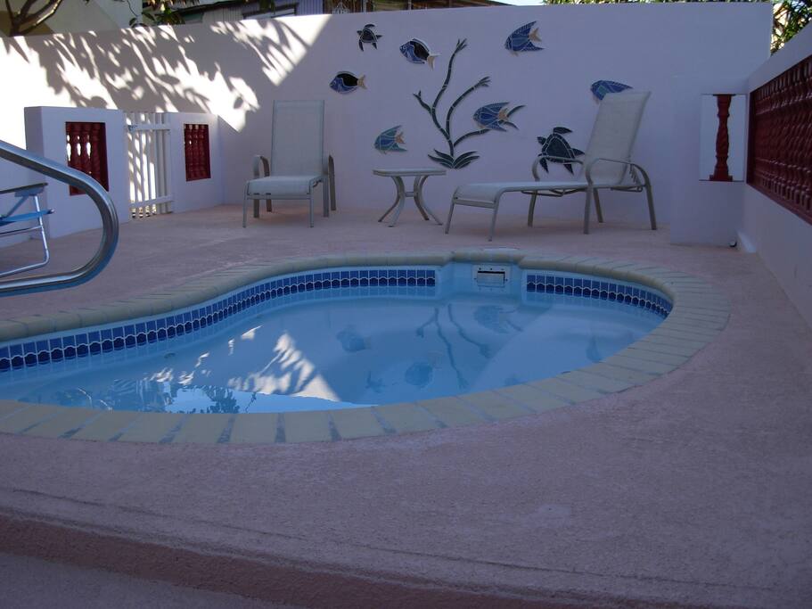 oversized jacuzzi hot tub