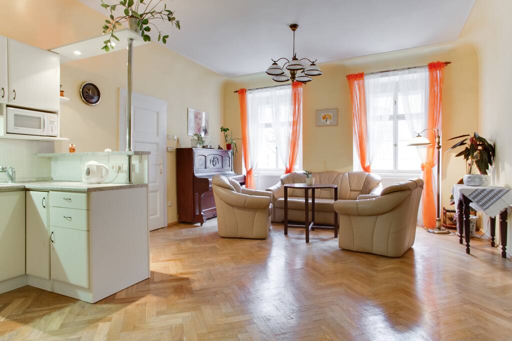 equipped kitchen integrated in the livingroom