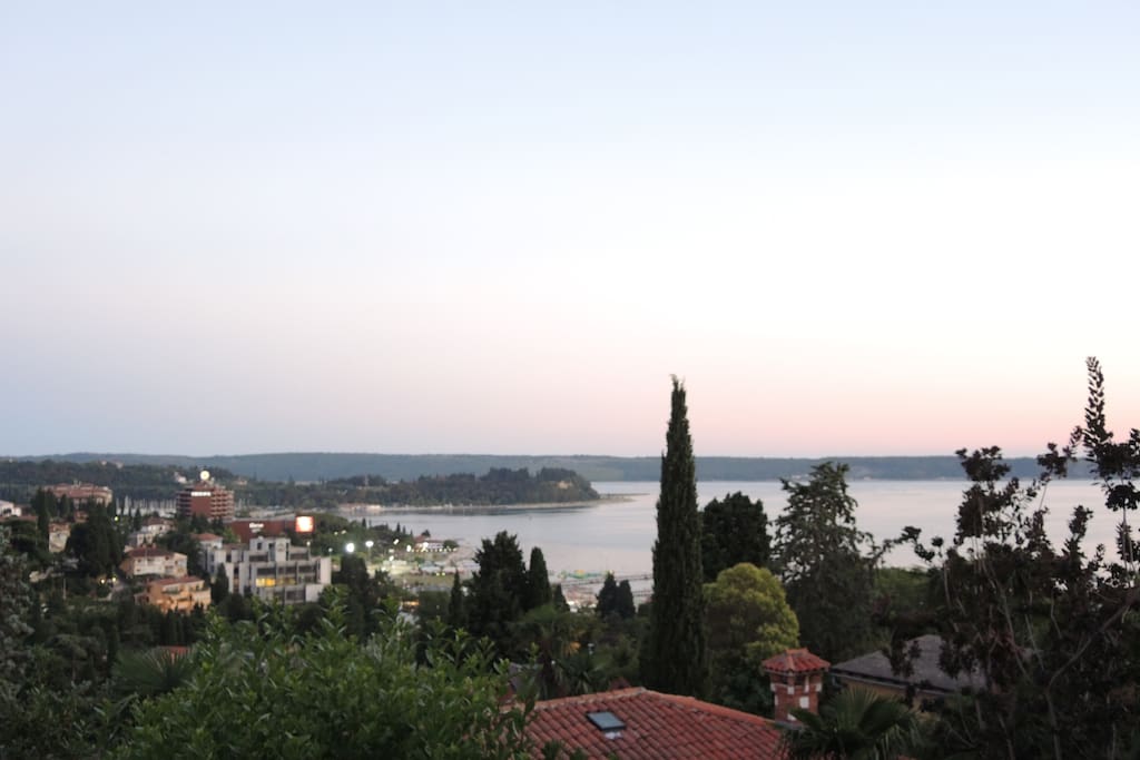Beautiful view
