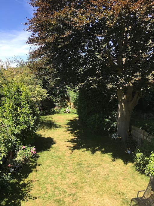 garden
