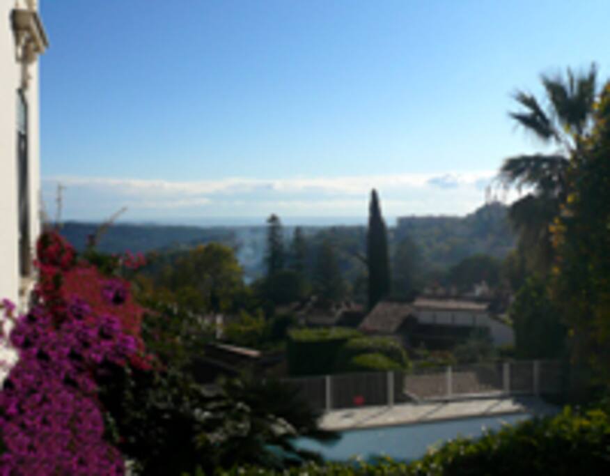 View