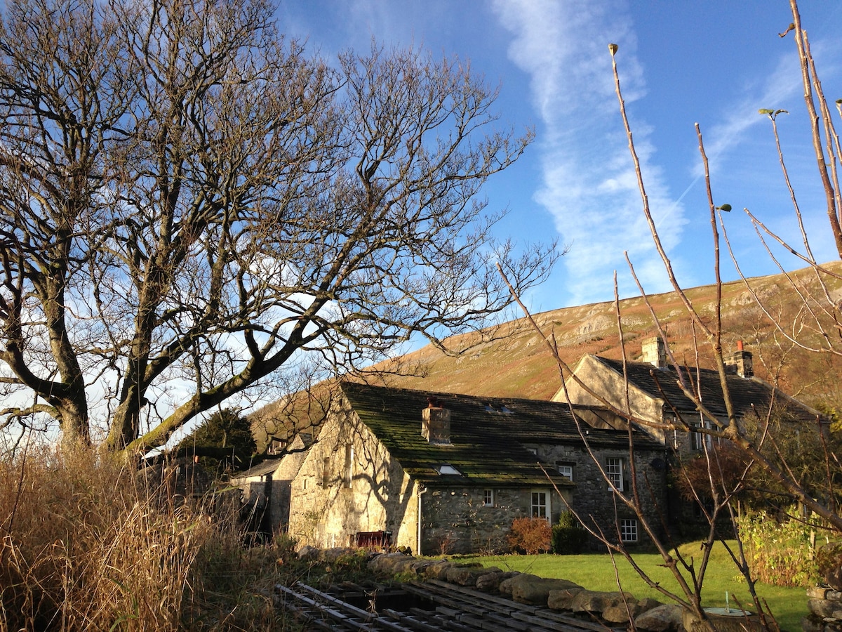 The converted barn is set against a backdrop of rolling hills, surrounded by lush greenery. A large tree stands prominently, its branches bare against the bright blue sky, creating a tranquil rural landscape.