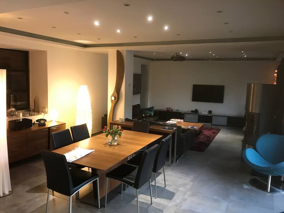 Salon salle à manger donnant sur la cuisine américaine, le jardin la piscine et la terrasse...