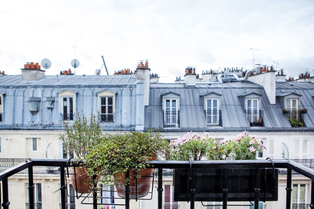 balconnet sur les toits de Paris/ Typical parisien's roof.