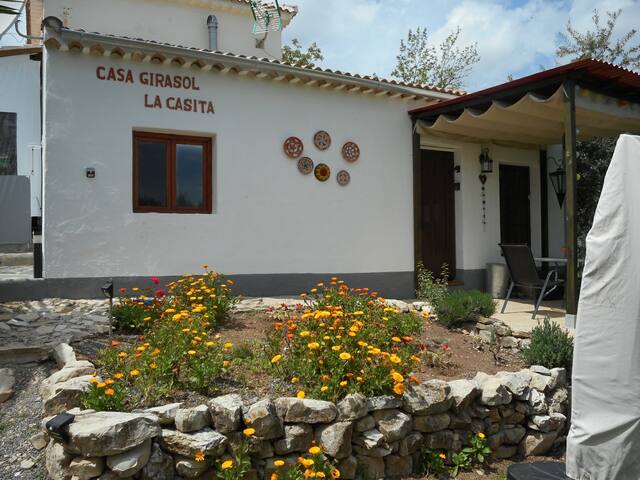 listing_image