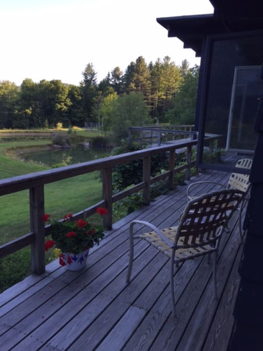 Pond from the deck