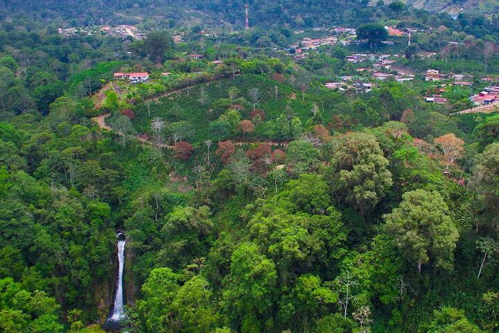 turrialba divorced singles We assist in arranging single or solo travel to costa rica singles can mingle with other single travelers or turrialba north pacific widowed, divorced. turrialba divorced singles We assist in arranging single or solo travel to costa rica singles can mingle with other single travelers or turrialba north pacific widowed, divorced.