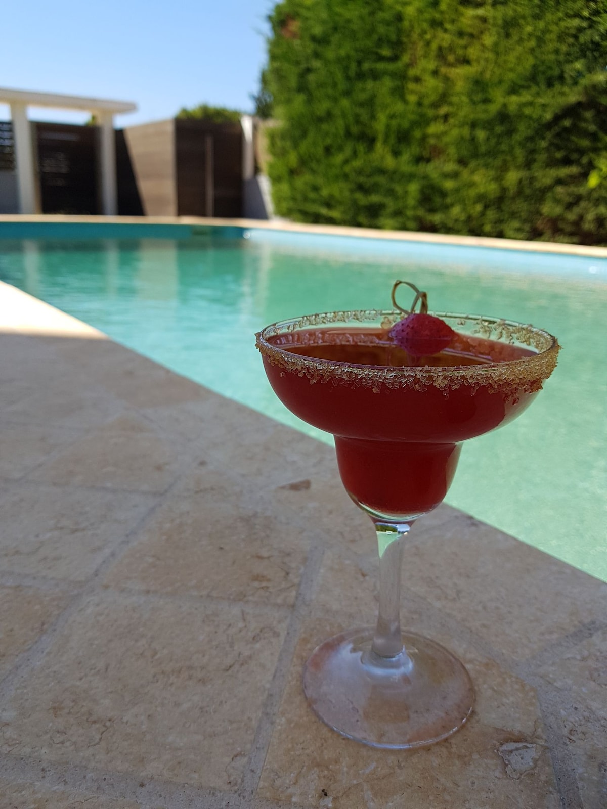 A refreshing cocktail is displayed in a stemmed glass, featuring a garnish of a cherry and a golden rim. The drink is positioned on the edge of a tranquil pool, with lush greenery visible in the background and bright sunlight illuminating the scene.