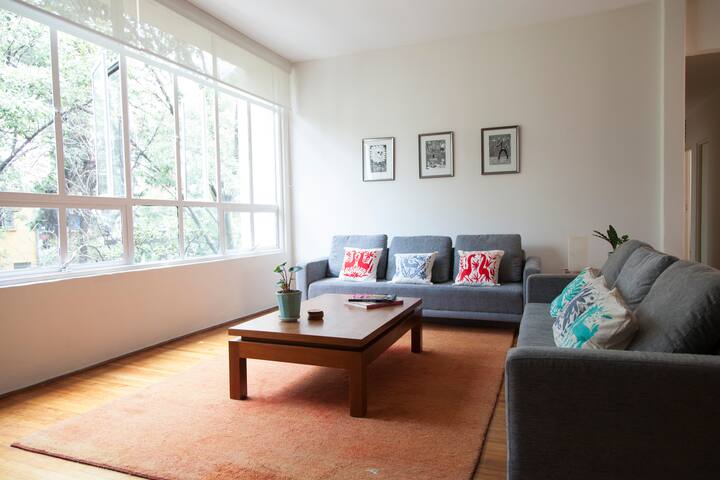 Beautiful sunny apartment in trendy Condesa gallery image 5