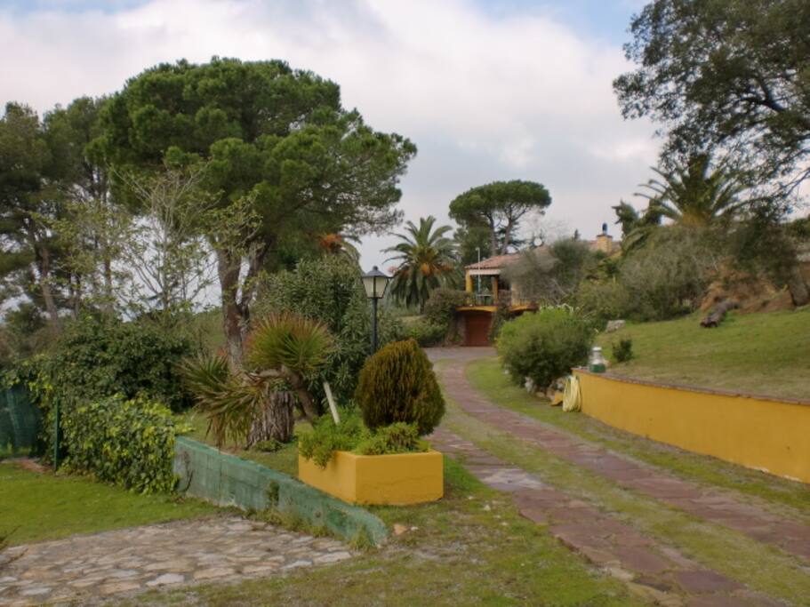 Paseo entrada