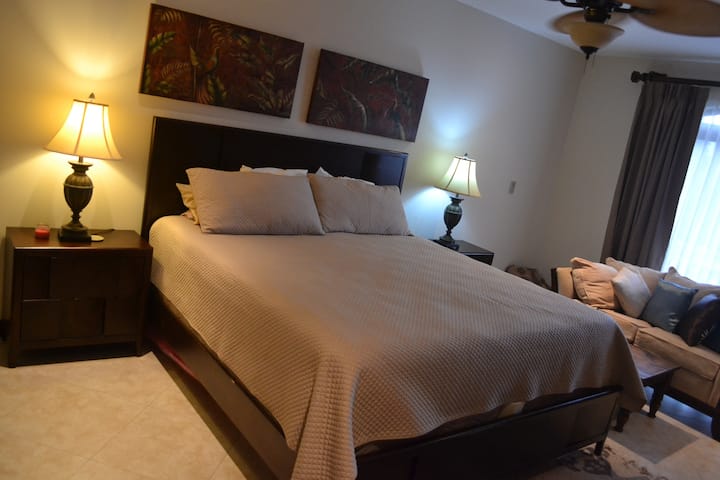 غرفة رئيسية واسعة بسرير بحجم كبير ومنطقة جلوس وتلفزيون.