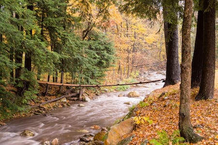 Sweet Brookside Cottage