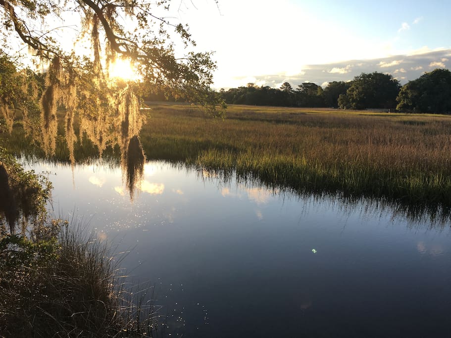 Live Oaks with Spanish moss frame the marsh views from the back deck